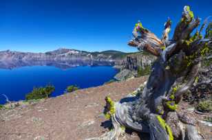 Crater Lake-9783.jpg